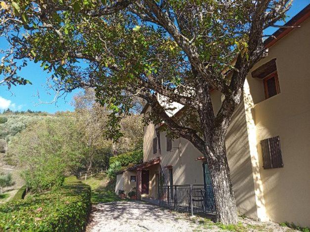 بونتاسيفي Agriturismo Il Giardino المظهر الخارجي الصورة