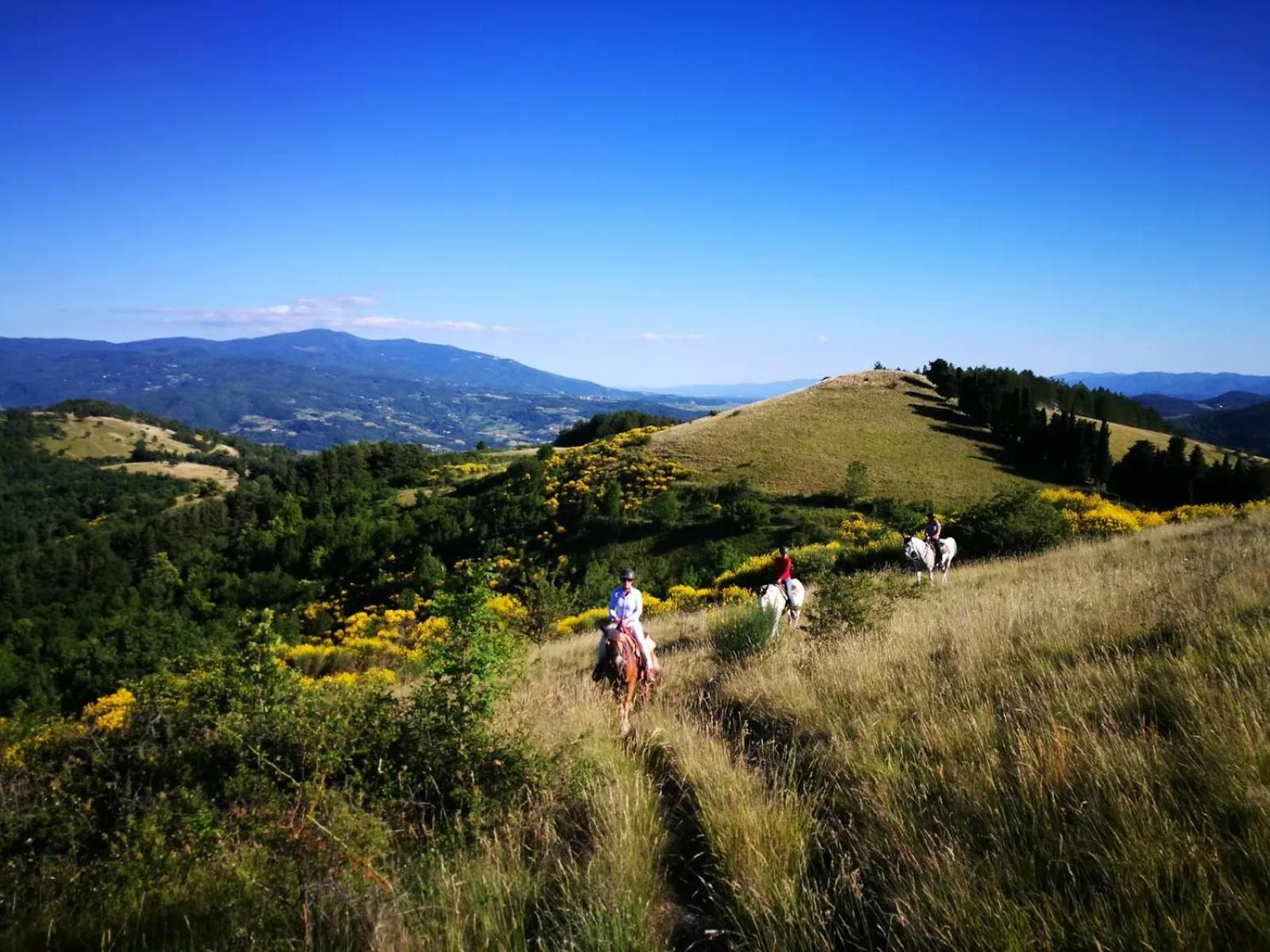 بونتاسيفي Agriturismo Il Giardino المظهر الخارجي الصورة