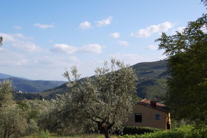 بونتاسيفي Agriturismo Il Giardino المظهر الخارجي الصورة