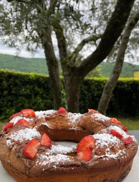 بونتاسيفي Agriturismo Il Giardino المظهر الخارجي الصورة