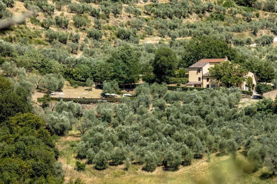 بونتاسيفي Agriturismo Il Giardino المظهر الخارجي الصورة